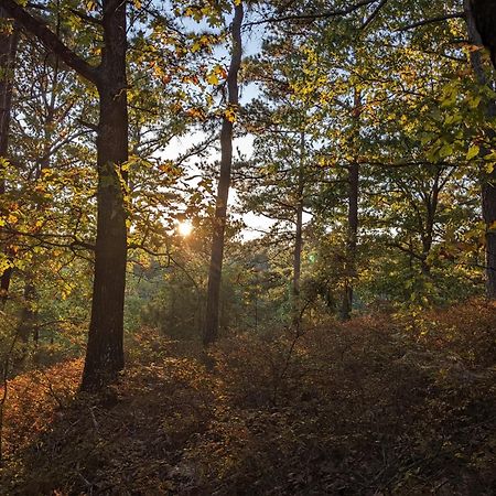 Loblolly Pines Adventure Cabin 4 King يوريكا سبرينغز المظهر الخارجي الصورة
